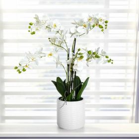 Artificial Orchid Arrangement In Ceramic Pot  Home Decor Ornament (Option: 1pc)