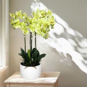 Artificial Orchid Arrangement 4 Stems With Ceramic Pot  Faux Potted Flower Decor For Home Tabletops (Option: 1pc)